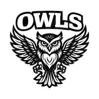 Owl Mascot Vector Illustration, Owl SVG, Owl Mascot PNG, Owl Mascot JPG, Owl Mascot Art, Owl Clipart