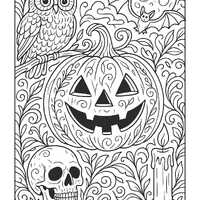 Halloween Adult Coloring Pages | Intricate Pumpkin, Owl, Skull & Cat Designs | 2 Page Spooky Col