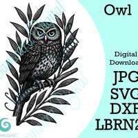 Owl Svg, Digital Download for Laser Engraving, Home Decor, Signs, Plaques