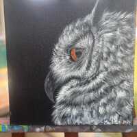 Owl on Black 10" x 10"