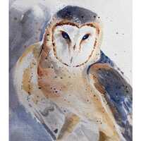 Barn Owl Watercolor Note Cards: Blank Inside, Bird Lover Gift, Original Artwork Card