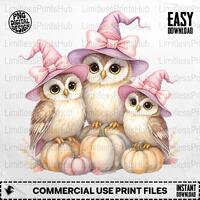 Witch Owl PNG, Cute Owl Clipart, Halloween Png, Owl Png, Pumpkin Png, Sublimation Png, T-Shirt Digit
