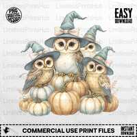 Halloween Owl PNG, Witch Owls, Pumpkin Png, Fall Png, Spooky Season, Sublimation Png, Digital Downlo