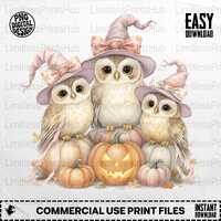 Halloween Owls PNG, Witch Owl Clipart, Pumpkin Png, Cute Owls Png, Halloween Png, Sublimation Png, D