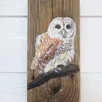 Spotted Owl Original Acrylic Painting: Owl on Driftwood - Wildlife Painting - Owl Painting