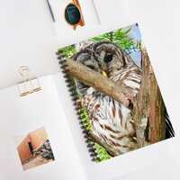 Nature-Inspired Owl Spiral Notebook - Ruled Lines for Nature Lovers, Journaling, Back to School, Gif