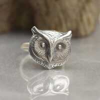 Sterling silver Owl ring.Insect Ring. Cicada ring Mystery magic jewelry.Artisan handmade ring.Hallow