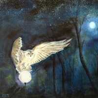 Moonlit Forest Owl Painting: 16x20 Original Fantasy Animal Art