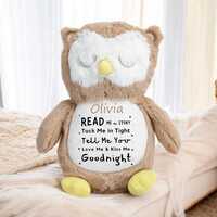 Personalised Bedtime Owl Read Me A Story Owl Soft Plushie Owl Personalised With Name Keepsake Gift f