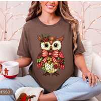 Patchwork Owl Christmas Shirt, Rustic Holiday Owl Lover Tee, Cottagecore Folk Art Xmas Tee, Woodland