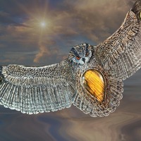 Hand Tooled Leather Owl Cuff Bracelet with Golden Labradorite Cabochon