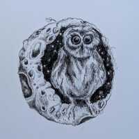 Owl Moon Ink Drawing: Spooky Crescent Moon Halloween Art