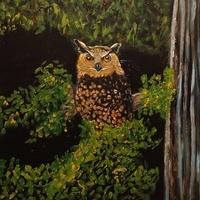 large original owl painting 24x30