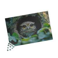 Curious Owl Puzzle in Tree Hollow | Whimsical Bird Nature Jigsaw (110, 252, 520, 1014 Pieces) Forest