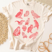 Vintage Owl Shirt, Cottagecore Comfort Colors Graphic Tee, Retro Birdwatching Y2K Shirt, Nature Wild