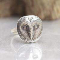 Sterling silver Owl ring.Insect Ring. Cicada ring Mystery magic jewelry.Artisan handmade ring.Hallow