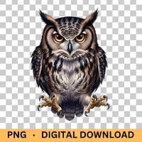 Owl PNG Watercolor Woodland Bird Clipart Nocturnal Animal Illustration Digital Download