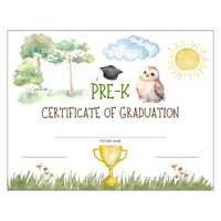 Pre-K Graduation Diploma Certificate Watercolor Owl Scene Preschool Instant Print - Premade Teacher 