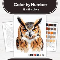 Owl Close-Up - Color by Number - Digital & Printable - 4 Levels