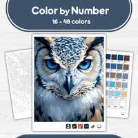 Close-Up Owl Face - Color by Number - Digital & Printable - 4 Levels