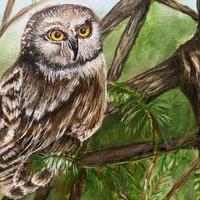 HandPainted, Acrylic, Forest Panting, Owl 13”x11”