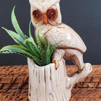 Vintage Small Owl Figurine Planter - Collectible Bird Statue & Succulent Pot