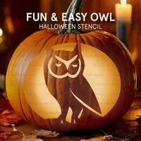 Magical Owl Halloween Pumpkin Carving Stencil,Fall Night Pumpkin Clip art,Jack-o-Lantern Stencil Nig