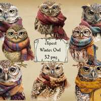Winter Owl Clipart Bundle, Cute Owls with Scarves, Cozy Autumn Owl PNG, Woodland Animal Clipart, Tra