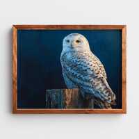 Snowy Owl on Wooden Fence Painting - Rustic Winter Wildlife Wall Art, Printable Nature Decor, Vintag