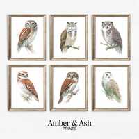 Vintage Owl Art Prints, Botanical Illustrations, Set of 10 (Digital Download)