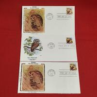 First Day of Issue Saw Whet Owl Stamp Silk Cache Envelope