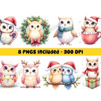 Christmas Owl Clipart Set | Watercolor Holiday Animals (8 PNGs)