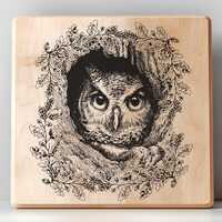 Owl Hollow Png Svg, Charcuterie, Cutting Board, Owl Coasters, Laser Engrave SVG File, Lightburn Lase