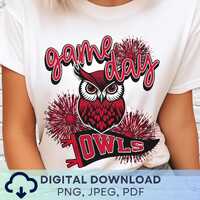 Game Day Owls Mascot Pennant PNG: Mascot School Spirit Graphic (Digital Download)