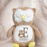 Personalised Owl Teddy Bear | New Baby Gift | Baby Birth Keepsake | Baby Boy Girl Present | Newborn 