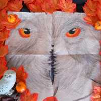 Magic owl bag