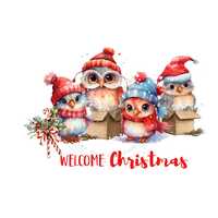 PNG Sublimation download with 4 winter Christmas owls-festive owls with winter Santa hat -holiday an