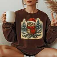 Christmas Owl Hoodie, Cute Winter Owl Sweatshirt, Santa Hat Owl Hoodie, Cozy Holiday Sweatshirt, Sno