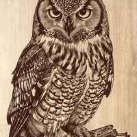 Owl Laser Engraved File, Owl Wood Engraving PNG, Laser Engraving for LightBurn xTool Glowforge, Inst