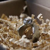 Silver Owl Ring: Fantasy Statement Ring