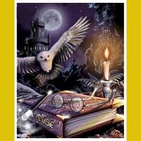 Night Owl Paint by Numbers Kit: Linen Canvas, Acrylic Paint (50x60cm)