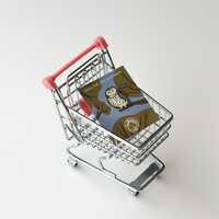 Pygmy Owl Enamel Pin - Woodland Owl Badge - Small Owl Brooch - Glaucidium Bird Pin - Forest Animal P