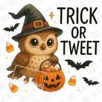 Owl Halloween PNG, Funny Trick or Tweet Owl Sublimation, Digital Download Fall Witch Owl PNG, Cute O