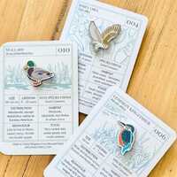 Bird Life Pin Badge Set - Barn Owl, Mallard Duck, Kingfisher - Bird Lover Gift