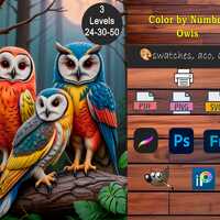 Paint by Number: 24-30-50 Color Owl Adult Coloring Pages (Digital Download), Procreate