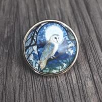 Barn Owl Pin Badge: Metal Lapel Pin