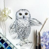 Original Watercolor Painting &ndash; Baby Snowy Owl 6x8 Animal Art, Unique Small Wall Art for Nurser