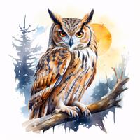 Owl Moonlight Clipart, Night Bird Images, 10 Watercolor Clip Art, Printable JPGs, Instant Download, 