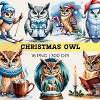 Christmas Owl Clipart Set | Watercolor Snowy Owl PNG | Winter Woodland Animal Art