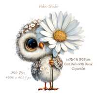 Whimsical Owl with Daisy Clipart Set: Pastel Floral Illustrations, 14 PNG & JPG (Digital Printab